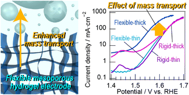 Graphical abstract: Mesoporous hydrogel electrodes with flexible frameworks exhibiting enhanced mass transport for the oxygen evolution reaction