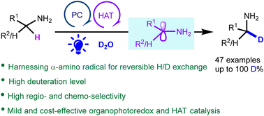 Graphical abstract: Organophotocatalytic α-deuteration of unprotected primary amines via H/D exchange with D2O