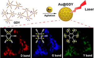 Graphical abstract: An intelligent alkyne-tag for Raman imaging of living cells: graphdiyne-encapsulated Au nanospheres