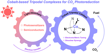 Graphical abstract: Cobalt-based tripodal complexes as molecular catalysts for photocatalytic CO2 reduction