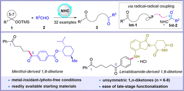 Graphical abstract: NHC-catalyzed radical acylation of cycloalkyl silyl peroxides to access 1,6-,1,7-, and 1,8-diketones