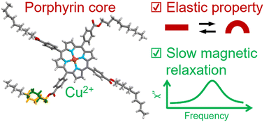 Graphical abstract: Molecular elastic crystals exhibiting slow magnetic relaxations