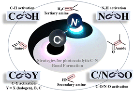 Graphical abstract: Photocatalytic C–N bond construction toward high-value nitrogenous chemicals