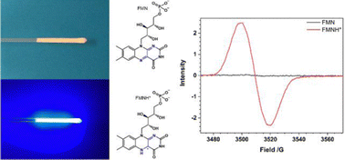 Graphical abstract: Simple and effective in situ sample illumination for electron paramagnetic resonance