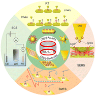 Graphical abstract: Emerging sensing platforms based on Cucurbit[n]uril functionalized gold nanoparticles and electrodes