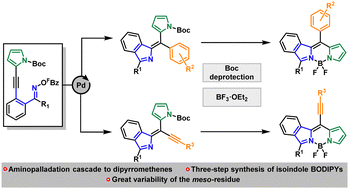 Graphical abstract: Access to isoindole-derived BODIPYs by an aminopalladation cascade