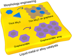 Graphical abstract: Liquid metal catalyzed chemical vapor deposition towards morphology engineering of 2D epitaxial heterostructures