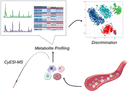 Graphical abstract: Single-cell metabolite profiling enables information-rich classification of lymphocyte types and subtypes