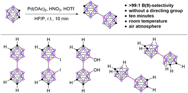 Graphical abstract: 9,9′-Bis-o-carboranes: synthesis and exploration of properties