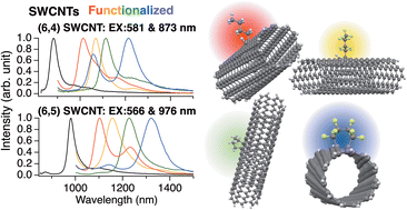 Graphical abstract: Recent progress in controlling the photoluminescence properties of single-walled carbon nanotubes by oxidation and alkylation