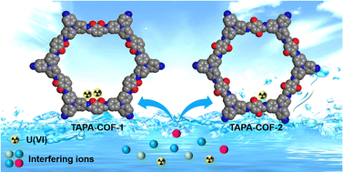 Graphical abstract: Tailoring chelating sites in two-dimensional covalent organic framework nanosheets for enhanced uranium capture