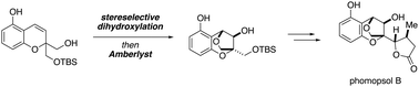 Graphical abstract: Total synthesis of highly oxygenated phomopsol B via acid-induced etherification to construct a bridged structure