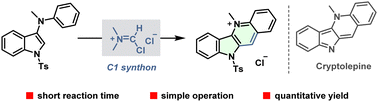 Graphical abstract: Intramolecular trapping of an iminium salt: rapid construction of quindoline derivatives