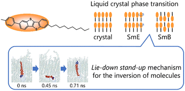 Graphical abstract: Flip-flop dynamics in smectic liquid-crystal organic semiconductors revealed by molecular dynamics simulations