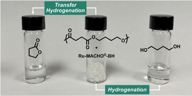 Graphical abstract: Highly selective pressure-dependent (transfer) hydrogenative depolymerization of polybutylene succinate