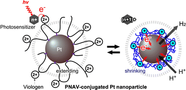 Graphical abstract: Precise design of copolymer-conjugated nanocatalysts for active electron transfer