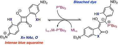 Graphical abstract: Pseudoaromaticity-driven, transition metal detection by squaraine-derived enol phosphonium ylide chemodosimeters