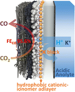 Graphical abstract: Enhanced CO2 reduction with hydrophobic cationic-ionomer layer-modified zero-gap MEA in acidic electrolyte