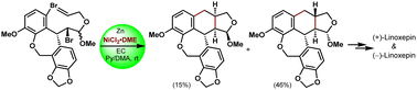 Graphical abstract: Intramolecular Ni-catalyzed reductive coupling enables enantiodivergent synthesis of linoxepin