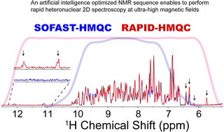 Graphical abstract: AI-designed RF pulses enable fast pulsing heteronuclear multiple quantum coherence NMR experiment at high and ultra-high magnetic fields