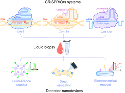 Graphical abstract: CRISPR/Cas detection with nanodevices: moving deeper into liquid biopsy