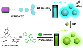 Graphical abstract: Carbazole-based artificial light-harvesting system for photocatalytic cross-coupling dehydrogenation reaction