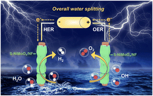 Graphical abstract: An oxygen vacancy-modulated bifunctional S-NiMoO4 electrocatalyst for efficient alkaline overall water splitting