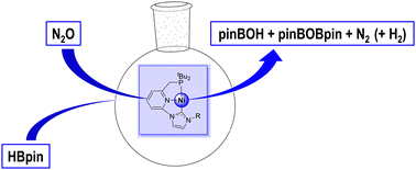Graphical abstract: Nitrous oxide activation by picoline-derived Ni–CNP hydrides