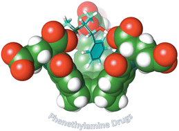 Graphical abstract: Molecular baskets form inclusion complexes with phenethylamine drugs in water