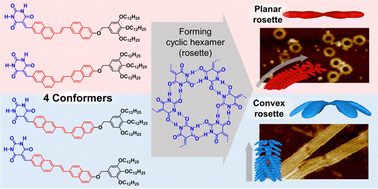 Graphical abstract: Toroid-rod supramolecular polymorphism derived from conformational isomerism of a π-conjugated system