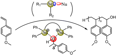 Graphical abstract: Bidentate selenium-based chalcogen bond catalyzed cationic polymerization of p-methoxystyrene
