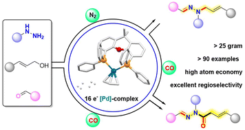 Graphical abstract: Palladium-catalyzed allylation and carbonylation: access to allylhydrazones and allyl acylhydrazones