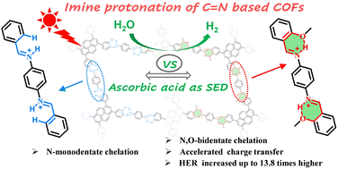 Graphical abstract: Enhanced protonation ability of covalent organic frameworks via N,O-bidentate chelation for photocatalytic H2 evolution