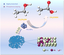 Graphical abstract: Ultrathin PdPtP nanodendrites as high-activity electrocatalysts toward alcohol oxidation