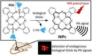 Graphical abstract: A reductively convertible nickel phthalocyanine precursor as a biological thiol-responsive turn-on photoacoustic contrast agent