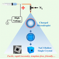 Graphical abstract: Utilization of charged microdroplets for the controlled rapid synthesis of hollow sodium chloride single crystals