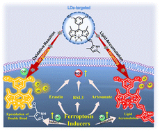Graphical abstract: An ICT-switched fluorescent probe for visualizing lipid and HClO in lipid droplets during ferroptosis