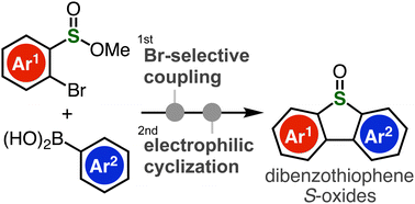 Graphical abstract: Facile synthesis of dibenzothiophene S-oxides from sulfinate esters