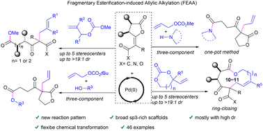 Graphical abstract: Palladium-catalysed fragmentary esterification-induced allylic alkylation of allyl carbonates and cyclic vinylogous anhydrides