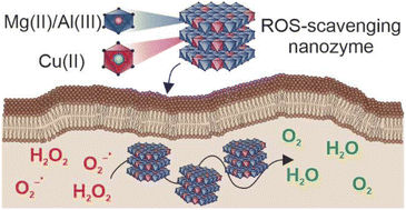 Graphical abstract: Reduction of intracellular oxidative stress with a copper-incorporated layered double hydroxide