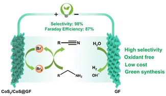 Graphical abstract: Bromine-mediated strategy endows efficient electrochemical oxidation of amine to nitrile