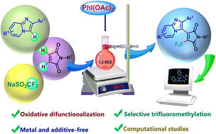 Graphical abstract: Iodine(iii)-promoted oxidative carbotrifluoromethylation of maleimides with imidazopyridines and Langlois’ reagent