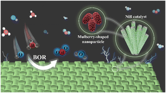 Graphical abstract: A superior mulberry-like nanoparticle NiB binary catalyst for borohydride oxidation