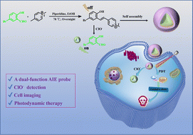 Graphical abstract: One-step synthesis of a dual-functional AIE-active probe for ClO− detection and photodynamic therapy