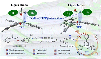 Graphical abstract: Visible-light-mediated metal-free regioselective oxidative C–C bond cleavage of lignin dimers to aromatic acids