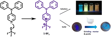 Graphical abstract: A multi-chromic boron trifluoride–pyridyl Lewis adduct