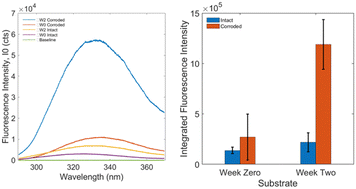 Graphical abstract: Corrosion-enabled tryptophan biosensing enhancement on commercially available Mg alloy surfaces