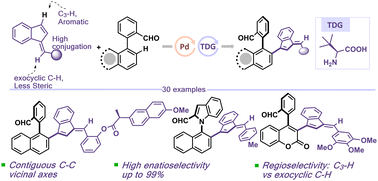 Graphical abstract: Asymmetric 1,2-diaxial synthesis of bi-(hetero)aryl benzofulvene atropisomers via transient directing group-assisted dehydrogenative coupling