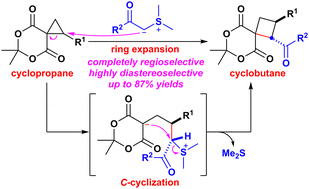 Graphical abstract: Ring expansion of spirocyclopropanes with stabilized sulfonium ylides: highly diastereoselective synthesis of cyclobutanes