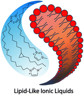 Graphical abstract: Are nature's strategies the solutions to the rational design of low-melting, lipophilic ionic liquids?